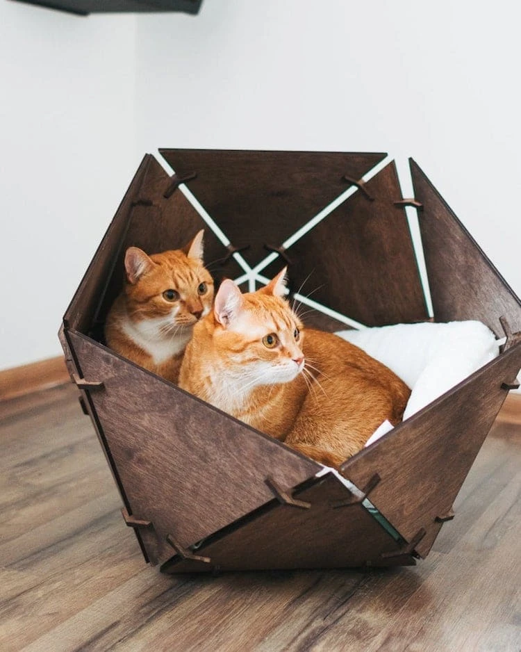 Kombinasi Sempurna! Cara Memadukan Warna Cat Modern dengan Furniture & Dekorasi Kekinian